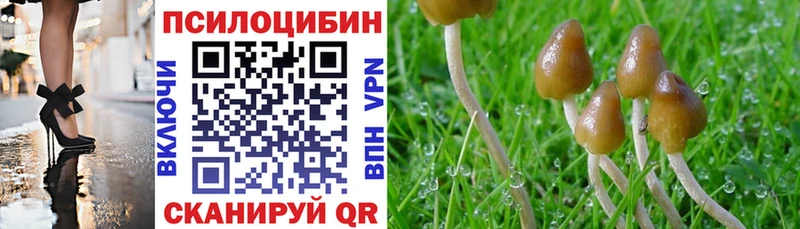 гидра ссылка  где продают наркотики  Щёлкино  Псилоцибиновые грибы MAGIC MUSHROOMS 